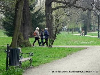 CO WIEMY O SENIOR(k)ACH W ŻYWCU? - zdjęcie7