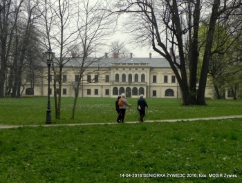 CO WIEMY O SENIOR(k)ACH W ŻYWCU? - zdjęcie6