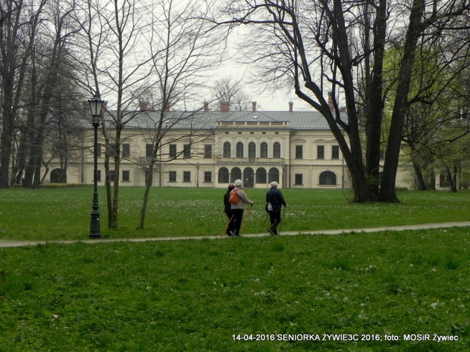 CO WIEMY O SENIOR(k)ACH W ŻYWCU?