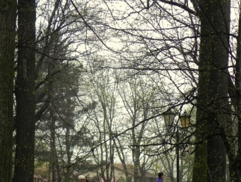 CO WIEMY O SENIOR(k)ACH W ŻYWCU? - zdjęcie5