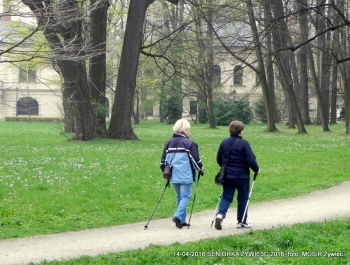 CO WIEMY O SENIOR(k)ACH W ŻYWCU? - zdjęcie2