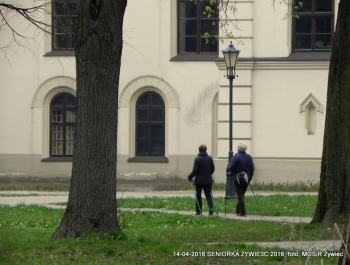 CO WIEMY O SENIOR(k)ACH W ŻYWCU? - zdjęcie1