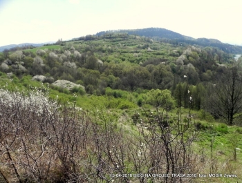 ZWIEDZAJ ŻYWIEC! spacer na Grojec - zdjęcie15