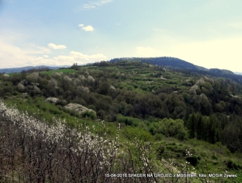 ZWIEDZAJ ŻYWIEC! spacer na Grojec - zdjęcie13