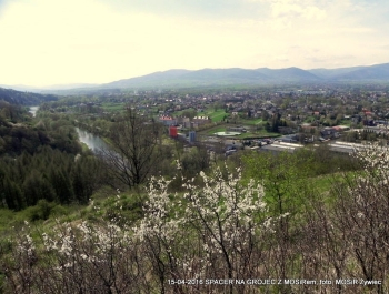 ZWIEDZAJ ŻYWIEC! spacer na Grojec - zdjęcie9