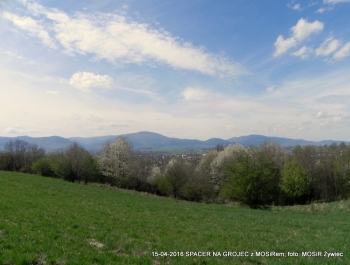 ZWIEDZAJ ŻYWIEC! spacer na Grojec - zdjęcie8