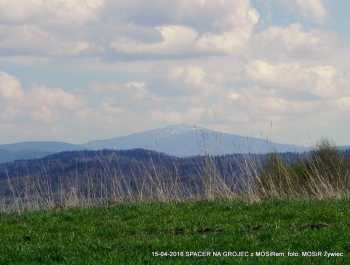 ZWIEDZAJ ŻYWIEC! spacer na Grojec - zdjęcie7