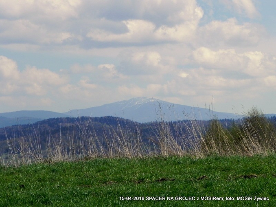 ZWIEDZAJ ŻYWIEC! spacer na Grojec