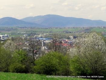 ZWIEDZAJ ŻYWIEC! spacer na Grojec - zdjęcie6