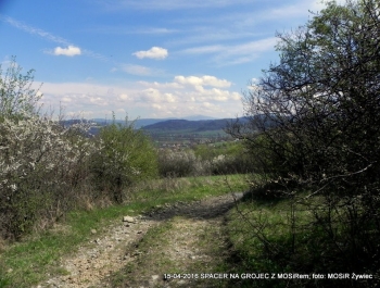 ZWIEDZAJ ŻYWIEC! spacer na Grojec - zdjęcie5