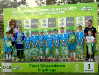 ŻYWIECKA AKADEMIA MAŁEGO PIŁKARZA TIKI TAKA PIŁKARSKIM MISTRZEM WOJ. ŚLĄSKIEGO! - zdjęcie2