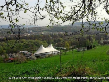 XXVI WIOSENNY FESTIWAL BIEGOWY W ŻYWCU ZAKOŃCZONY - zdjęcie18