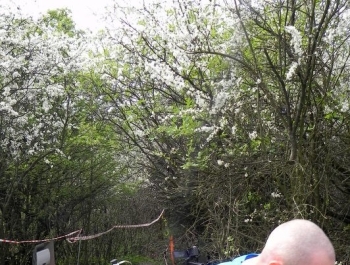 XXVI WIOSENNY FESTIWAL BIEGOWY W ŻYWCU ZAKOŃCZONY - zdjęcie203