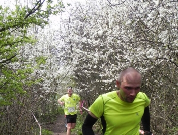 XXVI WIOSENNY FESTIWAL BIEGOWY W ŻYWCU ZAKOŃCZONY - zdjęcie182