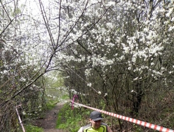 XXVI WIOSENNY FESTIWAL BIEGOWY W ŻYWCU ZAKOŃCZONY - zdjęcie173