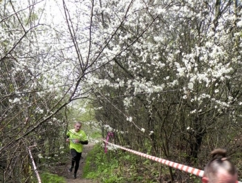 XXVI WIOSENNY FESTIWAL BIEGOWY W ŻYWCU ZAKOŃCZONY - zdjęcie172