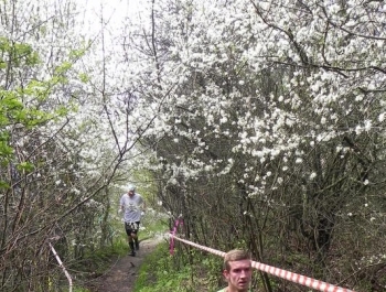 XXVI WIOSENNY FESTIWAL BIEGOWY W ŻYWCU ZAKOŃCZONY - zdjęcie171