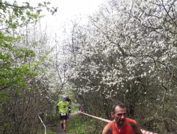 XXVI WIOSENNY FESTIWAL BIEGOWY W ŻYWCU ZAKOŃCZONY - zdjęcie168