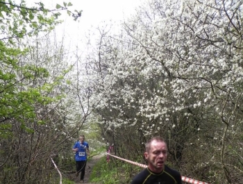 XXVI WIOSENNY FESTIWAL BIEGOWY W ŻYWCU ZAKOŃCZONY - zdjęcie167