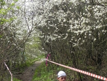 XXVI WIOSENNY FESTIWAL BIEGOWY W ŻYWCU ZAKOŃCZONY - zdjęcie165