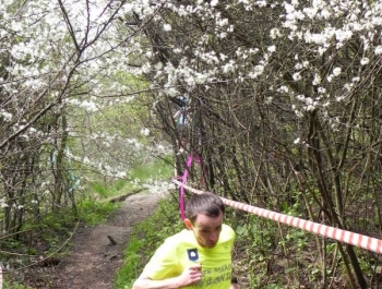 XXVI WIOSENNY FESTIWAL BIEGOWY W ŻYWCU ZAKOŃCZONY - zdjęcie162