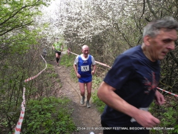 XXVI WIOSENNY FESTIWAL BIEGOWY W ŻYWCU ZAKOŃCZONY - zdjęcie146