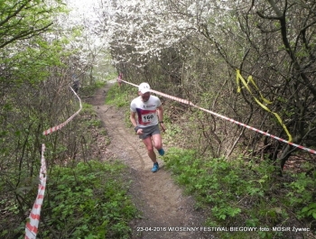 XXVI WIOSENNY FESTIWAL BIEGOWY W ŻYWCU ZAKOŃCZONY - zdjęcie141