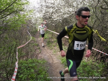 XXVI WIOSENNY FESTIWAL BIEGOWY W ŻYWCU ZAKOŃCZONY - zdjęcie133