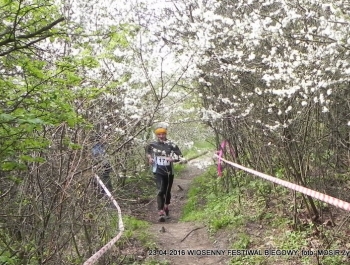 XXVI WIOSENNY FESTIWAL BIEGOWY W ŻYWCU ZAKOŃCZONY - zdjęcie131