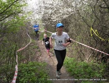 XXVI WIOSENNY FESTIWAL BIEGOWY W ŻYWCU ZAKOŃCZONY - zdjęcie130