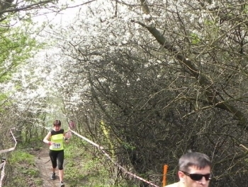 XXVI WIOSENNY FESTIWAL BIEGOWY W ŻYWCU ZAKOŃCZONY - zdjęcie111