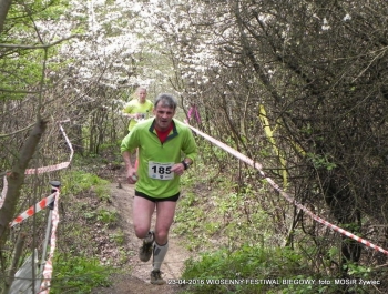 XXVI WIOSENNY FESTIWAL BIEGOWY W ŻYWCU ZAKOŃCZONY - zdjęcie109