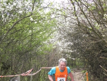 XXVI WIOSENNY FESTIWAL BIEGOWY W ŻYWCU ZAKOŃCZONY - zdjęcie94