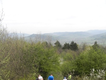 XXVI WIOSENNY FESTIWAL BIEGOWY W ŻYWCU ZAKOŃCZONY - zdjęcie57