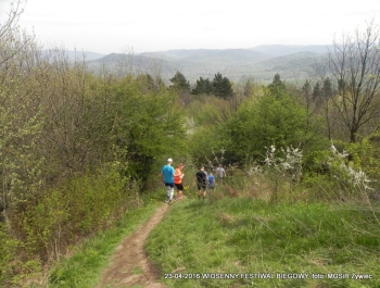 XXVI WIOSENNY FESTIWAL BIEGOWY W ŻYWCU ZAKOŃCZONY - zdjęcie56