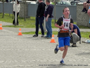 XXVI WIOSENNY FESTIWAL BIEGOWY W ŻYWCU ZAKOŃCZONY - zdjęcie46