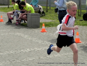 XXVI WIOSENNY FESTIWAL BIEGOWY W ŻYWCU ZAKOŃCZONY - zdjęcie45