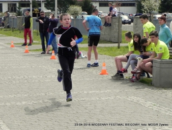 XXVI WIOSENNY FESTIWAL BIEGOWY W ŻYWCU ZAKOŃCZONY - zdjęcie44