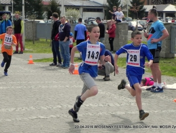 XXVI WIOSENNY FESTIWAL BIEGOWY W ŻYWCU ZAKOŃCZONY - zdjęcie43