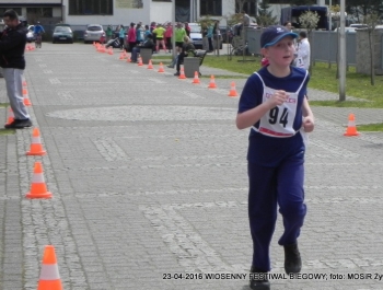 XXVI WIOSENNY FESTIWAL BIEGOWY W ŻYWCU ZAKOŃCZONY - zdjęcie40