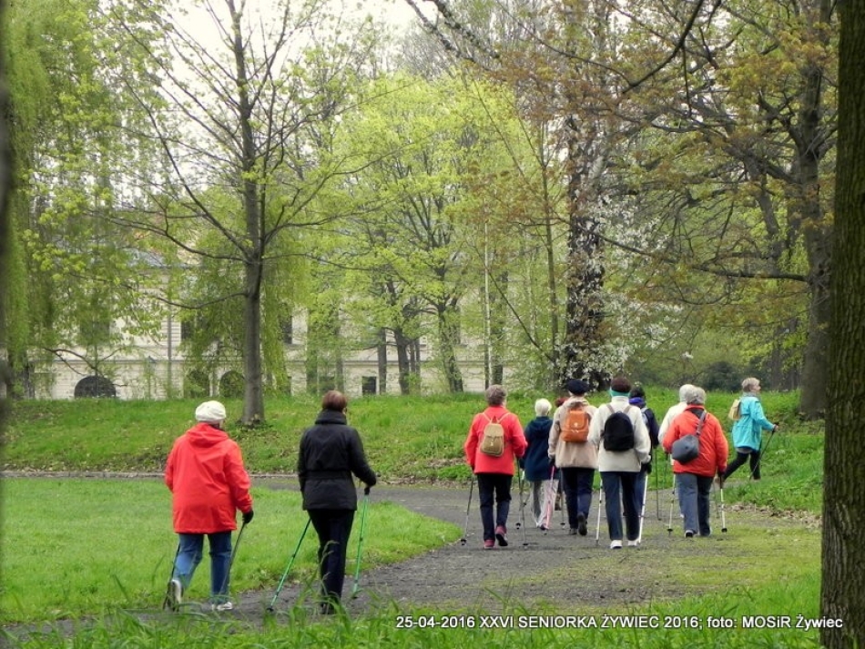 NORDIC WALKING POŚRÓD ZABYTKÓW ŻYWCA