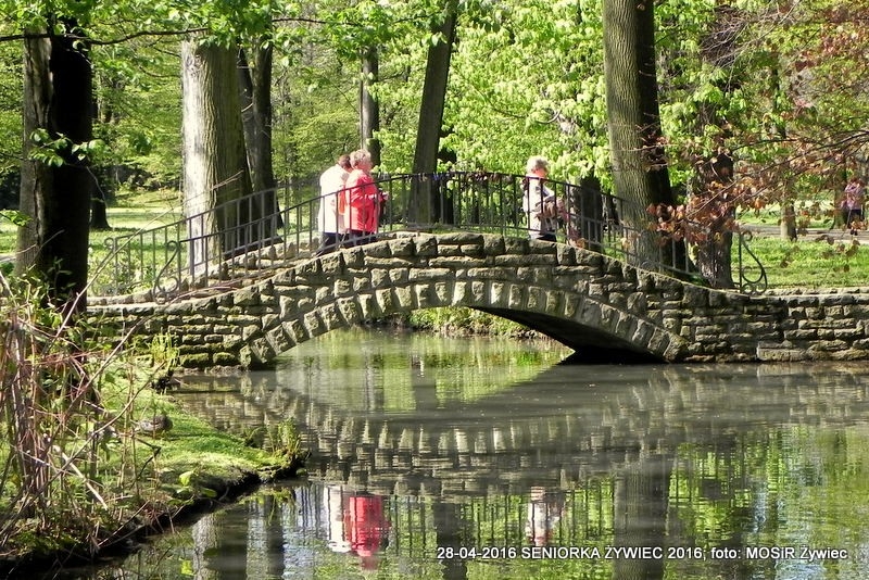 SENIORKA W PARKU ZNACZY SŁOŃCE