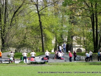 GIMNASTYKA W PARKU - 1 ZAJĘCIA ZA NAMI! - zdjęcie3