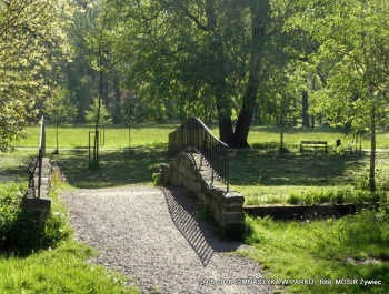 GIMNASTYKA W PARKU - OCZYWIŚCIE W SŁOŃCU - zdjęcie13