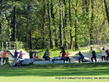 GIMNASTYKA W PARKU - OCZYWIŚCIE W SŁOŃCU - zdjęcie10