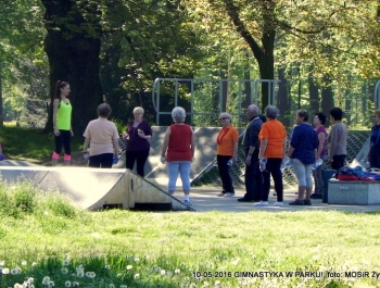 GIMNASTYKA W PARKU - OCZYWIŚCIE W SŁOŃCU - zdjęcie8