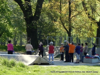 GIMNASTYKA W PARKU - OCZYWIŚCIE W SŁOŃCU - zdjęcie7