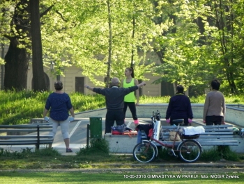 GIMNASTYKA W PARKU - OCZYWIŚCIE W SŁOŃCU - zdjęcie4