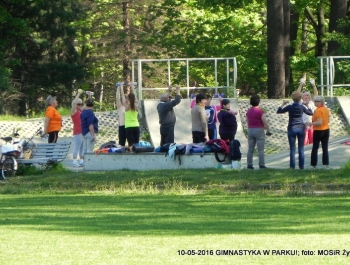 GIMNASTYKA W PARKU - OCZYWIŚCIE W SŁOŃCU - zdjęcie3