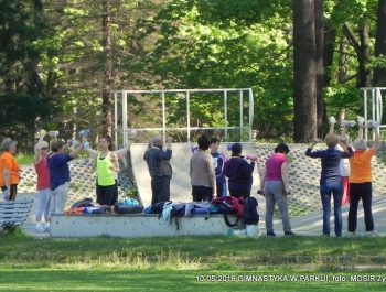 GIMNASTYKA W PARKU - OCZYWIŚCIE W SŁOŃCU - zdjęcie2